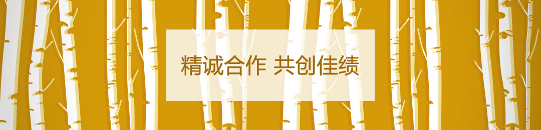 桦金国际banner